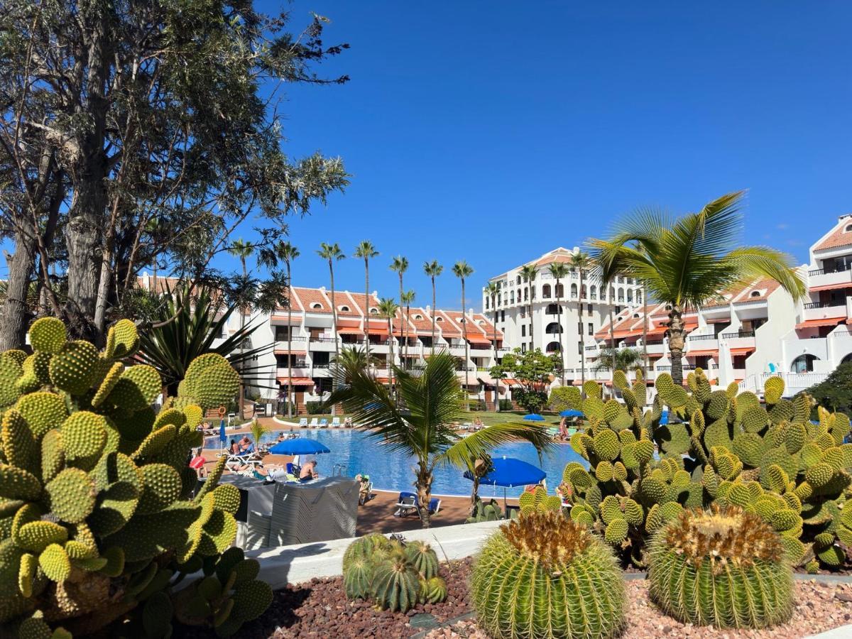 Апартаменты Parque Santiago II , Renovated, Ocean View, Heated Swimming Pool ! Плая-де-лас-Америкас Экстерьер фото